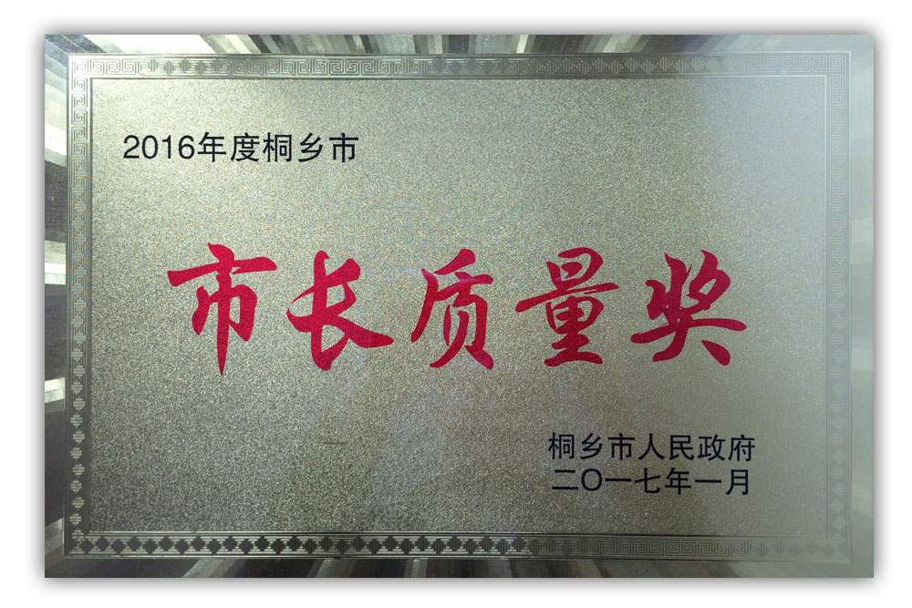 2016年度-桐鄉(xiāng)市市長質(zhì)量獎
